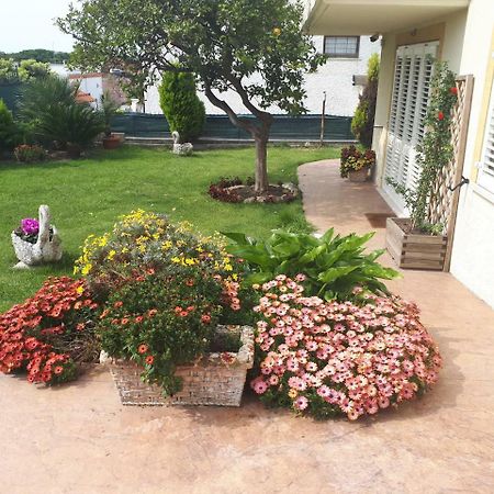 Bed And Breakfast Angolo Fiorito Civitavecchia Exterior photo