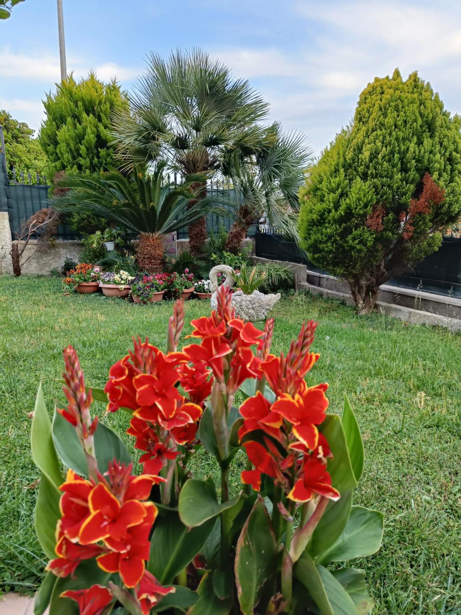 Bed And Breakfast Angolo Fiorito Civitavecchia Exterior photo